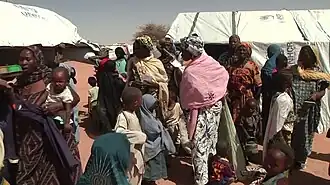 Tondikiwindi