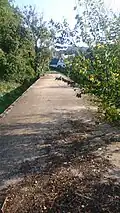Le tablier de la passerelle. (oct. 2015)