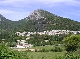 Benamahoma
