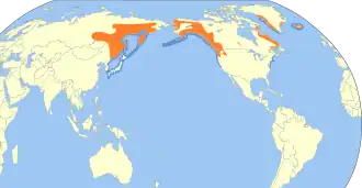 Description de l'image Histrionicus histrionicus map.svg.