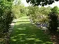 Allée arrivée à maturité.