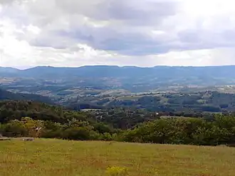 Teočin