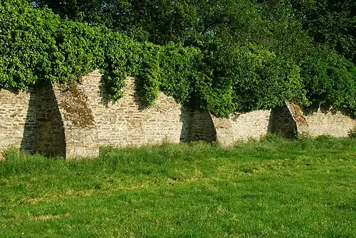 Vue détaillée des contreforts.