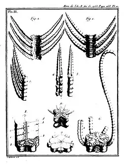 1re partie[58], pl. 3