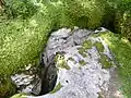 Le gouffre de la Combe de l'Arche donne sur la partie la plus en aval du collecteur.