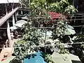 Cour du marché aux fruits