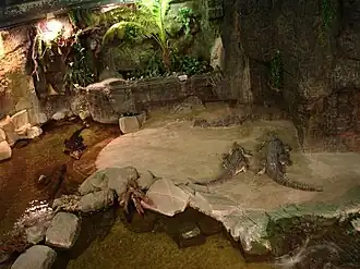 Fosse aux crocodiles.