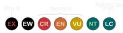 ( NE)
