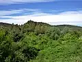 Carbasí