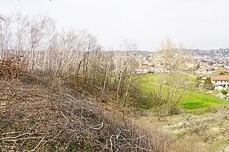 Le terril.