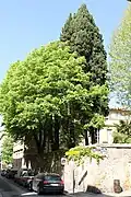 Une cour intérieure, sur les rues Cardinale et Mistral (2012)