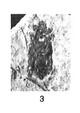 Description de cette image, également commentée ci-après