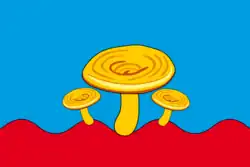 Drapeau de Raïon de Souna