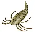 Megarachne, un euryptéride aquatique de 60&nbsp;cm.