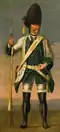 Grenadier du régiment Los Rios