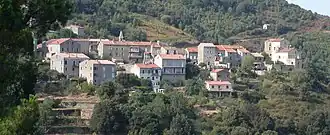 Sollacaro