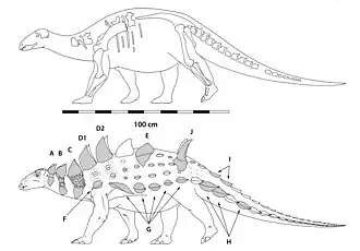 Struthiosaurus