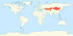 Carte mondiale montrant en rouge l'aire d'élevage du Chameau de Bactriane qui s'étend de la Turquie à la Chine.