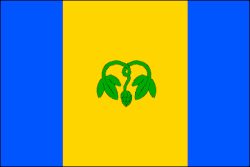 Drapeau de Vojkovice