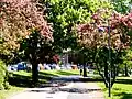 La piste cyclable de Tokoinranta.