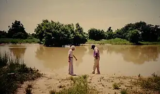 Torodi (département)