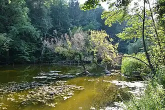 Nekroutnoe réserve naturelle[6].