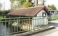 Lavoir de Sarniguet.