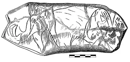 Mammouth gravé sur ivoire (Relevé Charles Rau[Note 2], 1876).