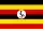 icône décorative