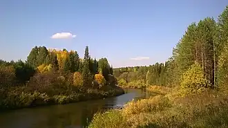 Rivière Velikaïa et taïga en automne dans le Nord.