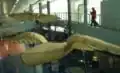 Réplique de la barque ailée du musée du Bourget
