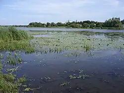 zone inondable.