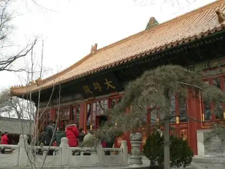 Hall principal