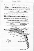 William Dampier (1699)
