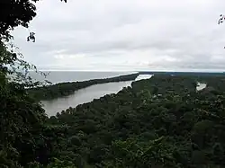 Palmeraie et mangroves de la côte atlantique.