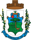 Image illustrative de l’article Esmeralda (Rio Grande do Sul)