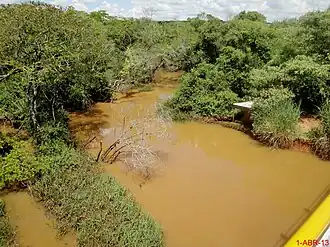 Pirangi