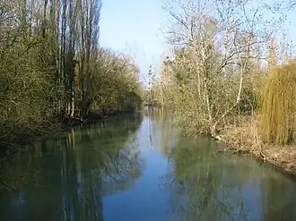 Cours d'eau de l'Yèvre, affluent du Cher[N 49].