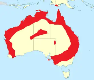 Description de l'image Burhinus grallarius range.png.