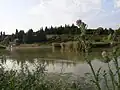 Plan d’eau accueillant l’avifaune