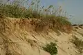 Erosion