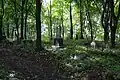 Vue d'une allée à moitié disparue