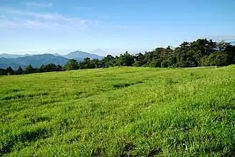 Takane (Yamanashi)