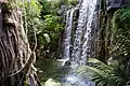 Jungle.