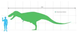 Dessin comparant la taille d'un humain et de l'animal qui fait près de 9 mètres de long.