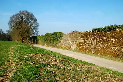 Le mur d'enceinte au nord de la Porte de Nivelles.