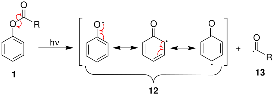 Formation des radicaux acyle et aryloxy (avec ici trois mésomères).