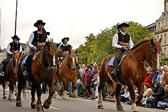 Défilé monté au Festival de Cornouaille en 2015