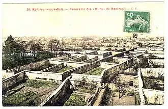 Illustration des murs à pêches.