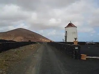 Tiagua